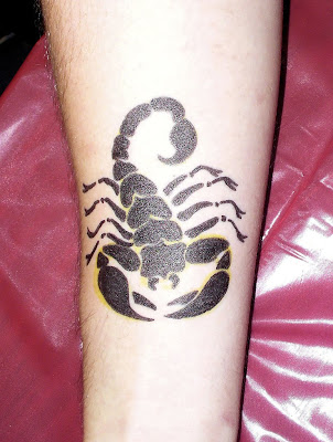Tribal style designs of scorpion tattoos are very popular and large designs 