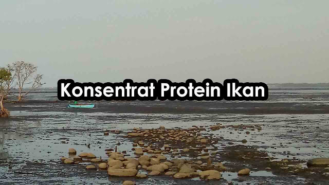 konsentrat protein ikan