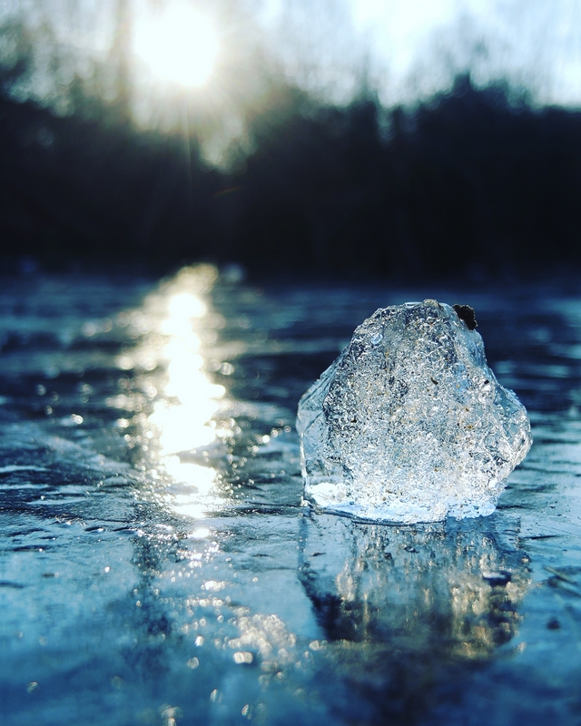 Deurne: Op de bremweide: ijs en een winterzonnetje