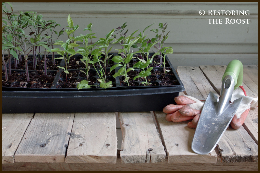 plans for building a potting bench