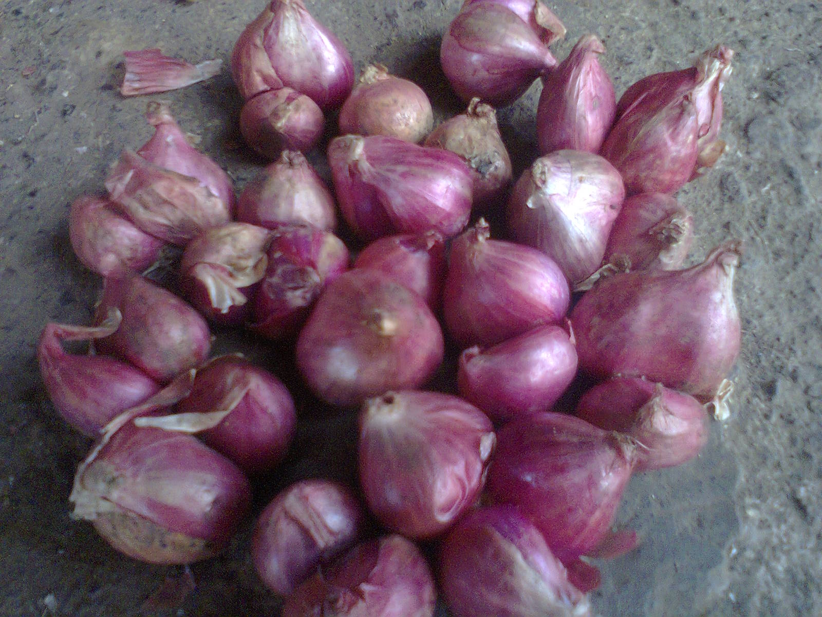 SUPPLIER BAWANG MERAH JUAL BAWANG MERAH 085231612096