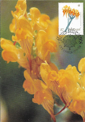 Carte maximum Linaria flores silvestres Portugal