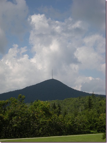 DSCN7989