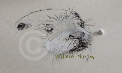 otter demo paint an otter in stages