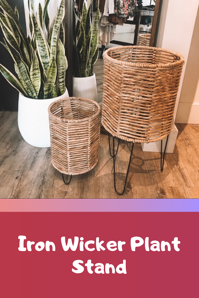 Iron Wicker Plant Stand