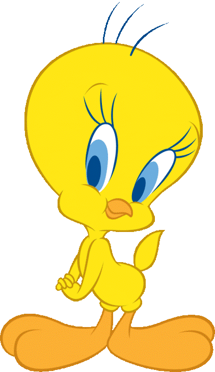 Bird tweety wallpaper cartoon