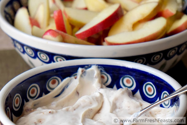 A fruit dip made from cream cheese, yogurt, brown sugar and the crunch of milk chocolate toffee bits. This is great for parties or special afternoon snacks and appeals to all ages.