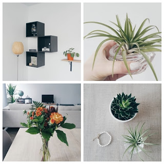 Clothes & Dreams: Instadiary: Plant Party