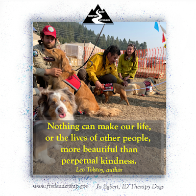 therapy dogs comforting wildland firefighters