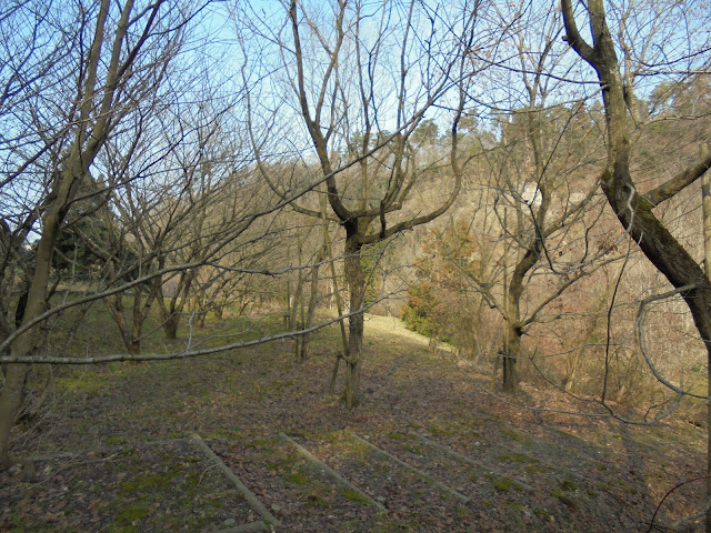 別所川渓流植物園