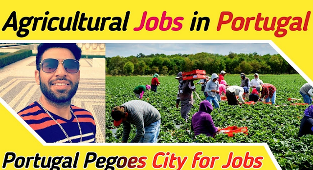 Farm Worker Jobs in Portugal