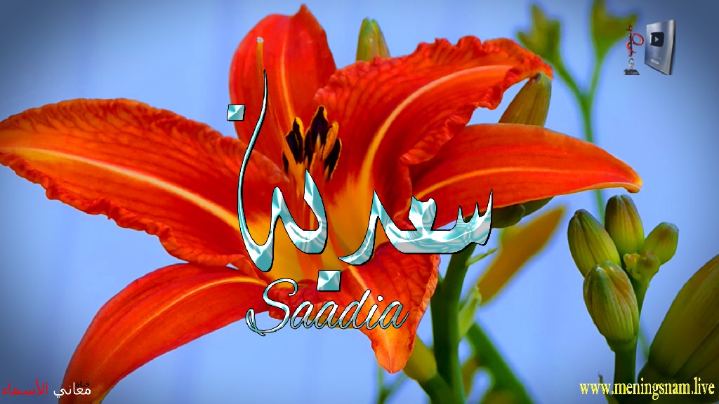 معنى اسم, سعدية, وصفات, حاملة, هذا الاسم, Saadia,