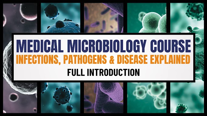 Medical Microbiology: Pathogens, Infections & System-Based Diseases – Full Guide