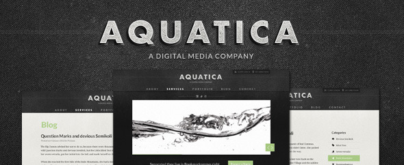 Aquatica Creative PSD Template - Creative PSD Templates