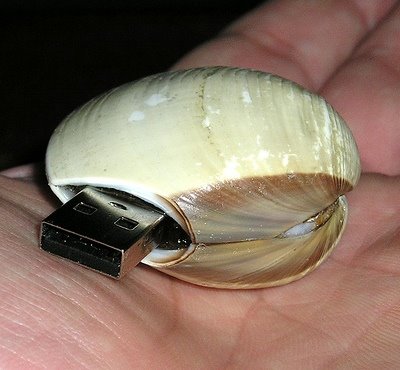 Clam flash USB drive