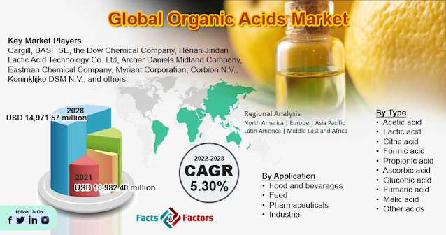 Global Organic Acids Market