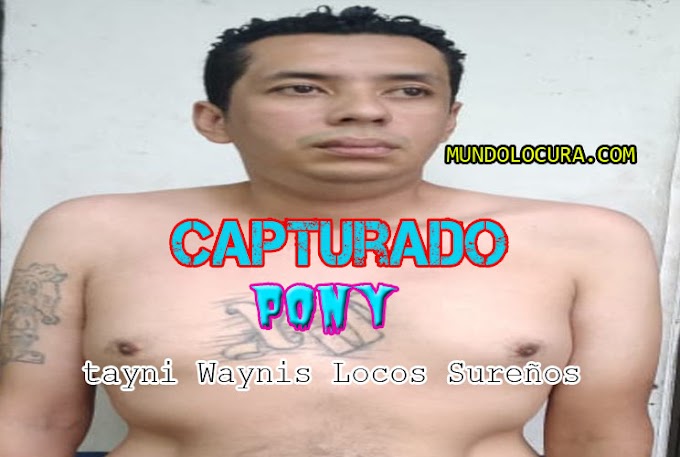 El Salvador: Capturan a "Pony" experimentado pandillero de la clica Tayni Waynis Locos Sureños