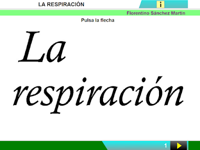 http://cplosangeles.juntaextremadura.net/web/edilim/curso_2/cmedio/nuestro_cuerpo02/respiracion02/respiracion02.html