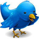 twitter bird logo