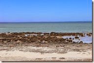 IMG_0881