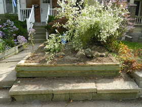 Roncesvalles Toronto Front Yard Fall Cleanup After by Paul Jung Gardening Services--a Toronto Gardening Company