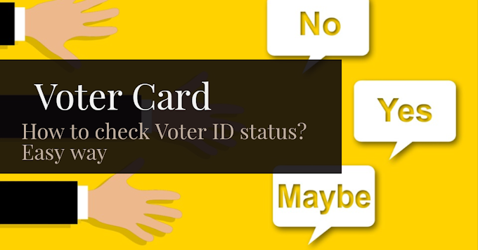 How to check Voter ID status? Easy way || TechMoodly