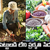 పెట్టుబడి లేని ప్రకృతి సేద్యం - Prakruti Sedyam, Zero Budget Natural Farming