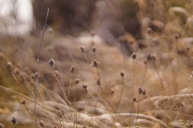 Best UK photography blog Norfolk countryside