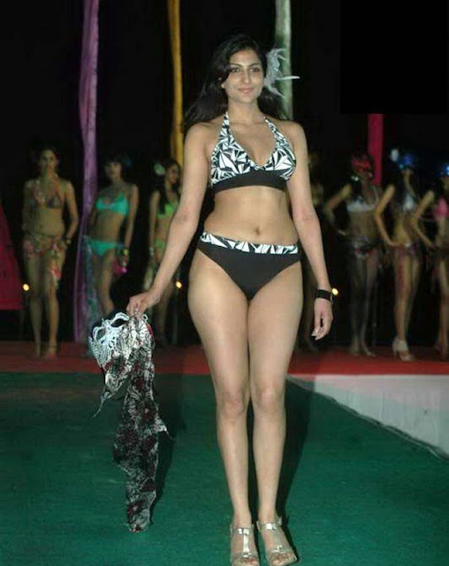 Hot Indian Models Bikini Bash Pictures 2011