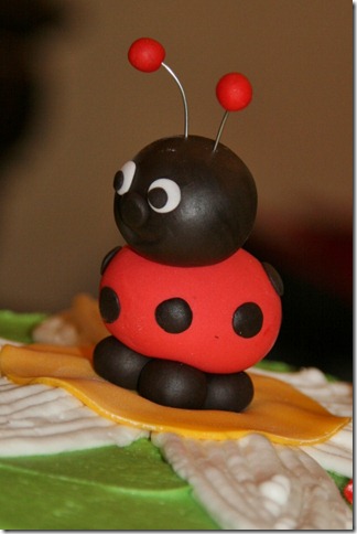 IMG_1057 (2) (533x800)