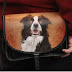 «Crufts dog show» в Бирмингеме