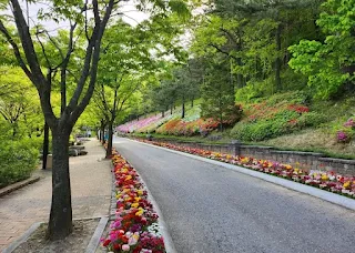 강릉솔향수목원-알록달록하게-핀-꽃과-산책로