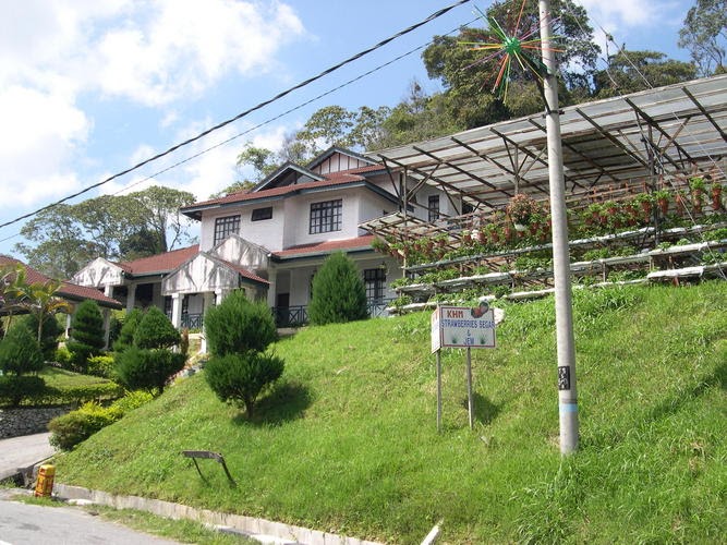 homestay cameron highland taman sedia