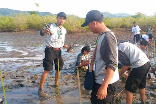 Tanam mangrove tim BPSPL Denpasar