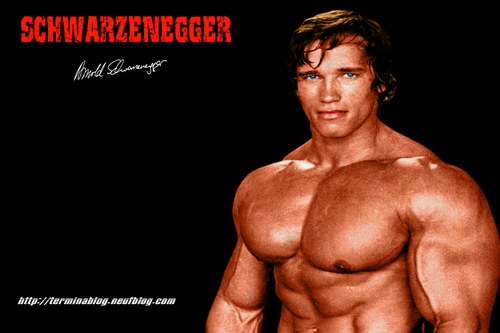 arnold schwarzenegger wife and kids. arnold schwarzenegger wife and