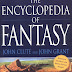 Télécharger The Encyclopedia of Fantasy PDF