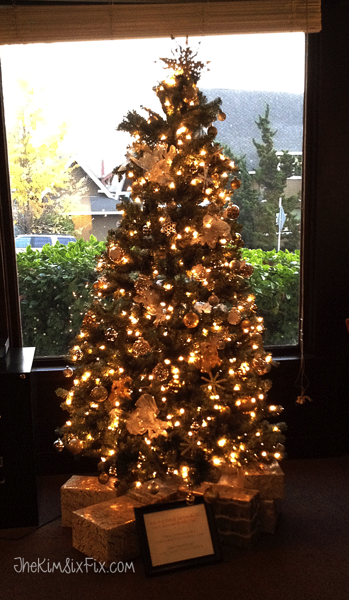 Girl Scout Donated Christmas Tree
