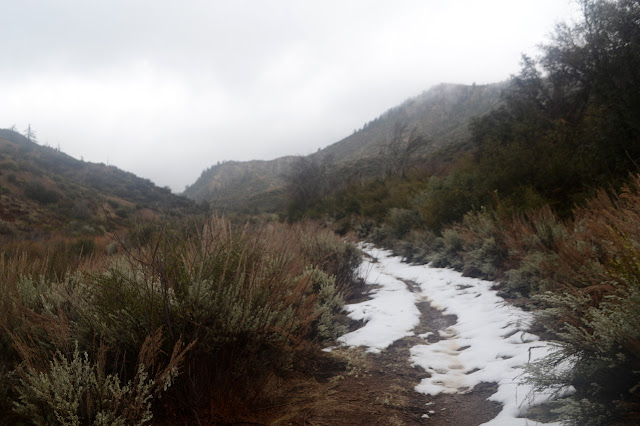 trail with snow on it