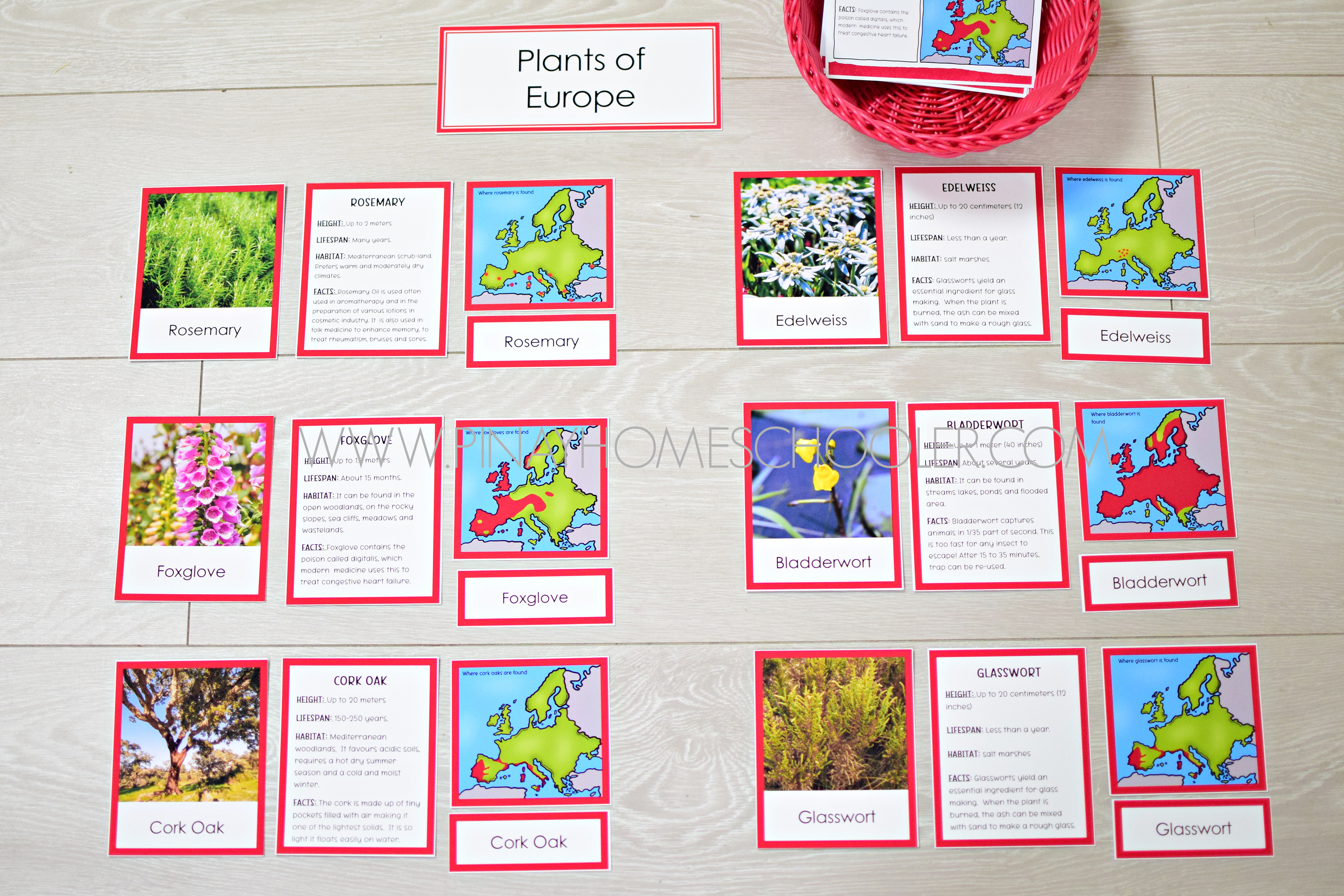Fun Facts of Europe color-coded Montessori Continent Cards 