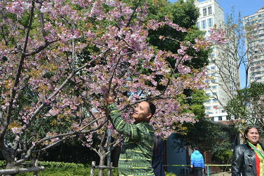 Profil Abiem
