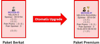 otomatis upgrade