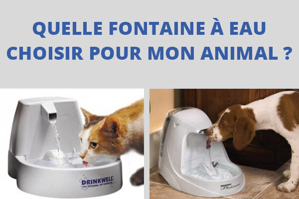 Toutes les fontaines à eau sur Dogteur.com 