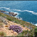 View album