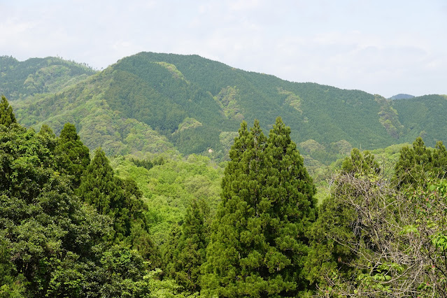 鳥取県西伯郡南部町下中谷 ダムサイト線からの眺望