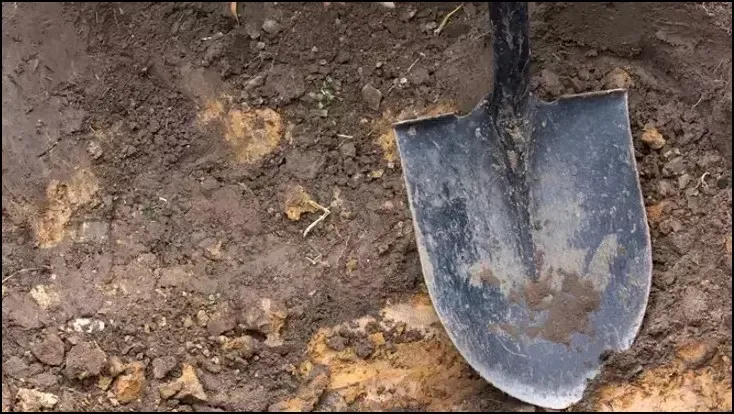 Rüyada Gömülmek Görmek Ne Anlama Gelir?