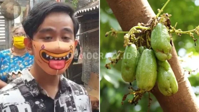 Arti Belimbing Sayur Yang Viral di Media Sosial, Jadi Julukan untuk Cawapres Gibran Rakabuming