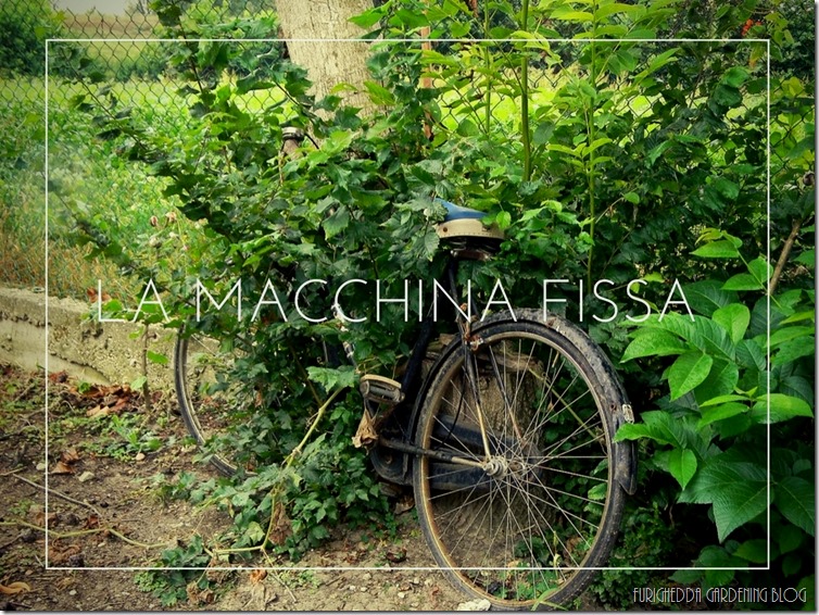 La Macchina Fissa 12
