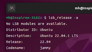 コマンド lsb_release -a を実行し、Ubuntuのバージョンを確認したところ