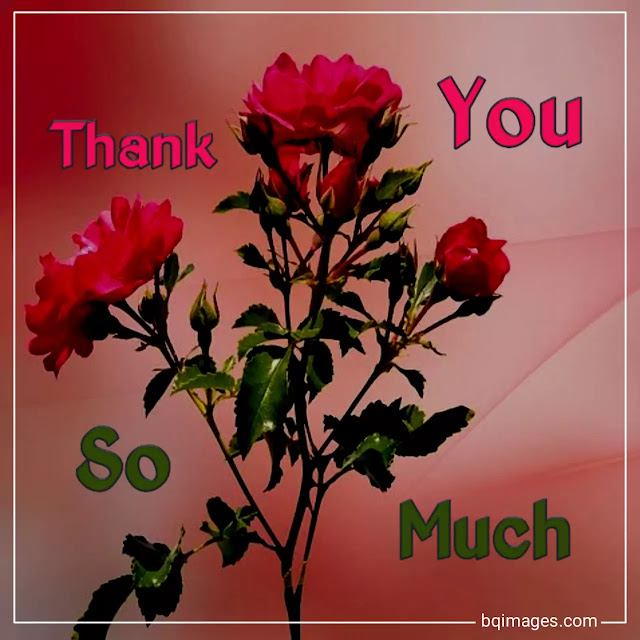 thank you messages images