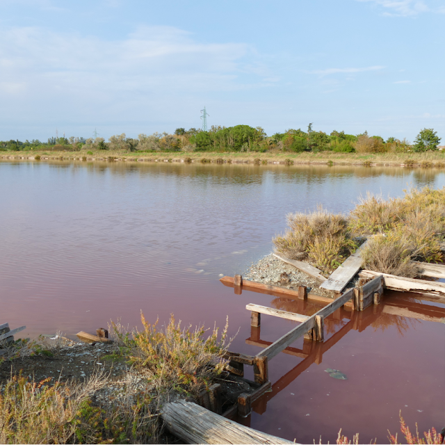 salina di Cervia